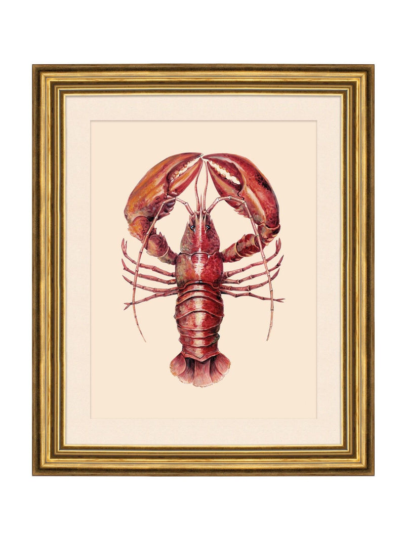 Brookpace Lascelles lobster wall art red gold frame 58cm (British brand)