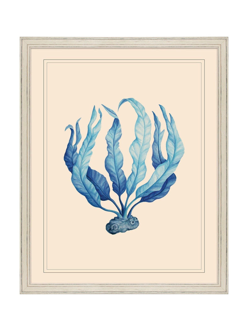 Brookpace Lascelles blue white seaweed print wall art (British brand)