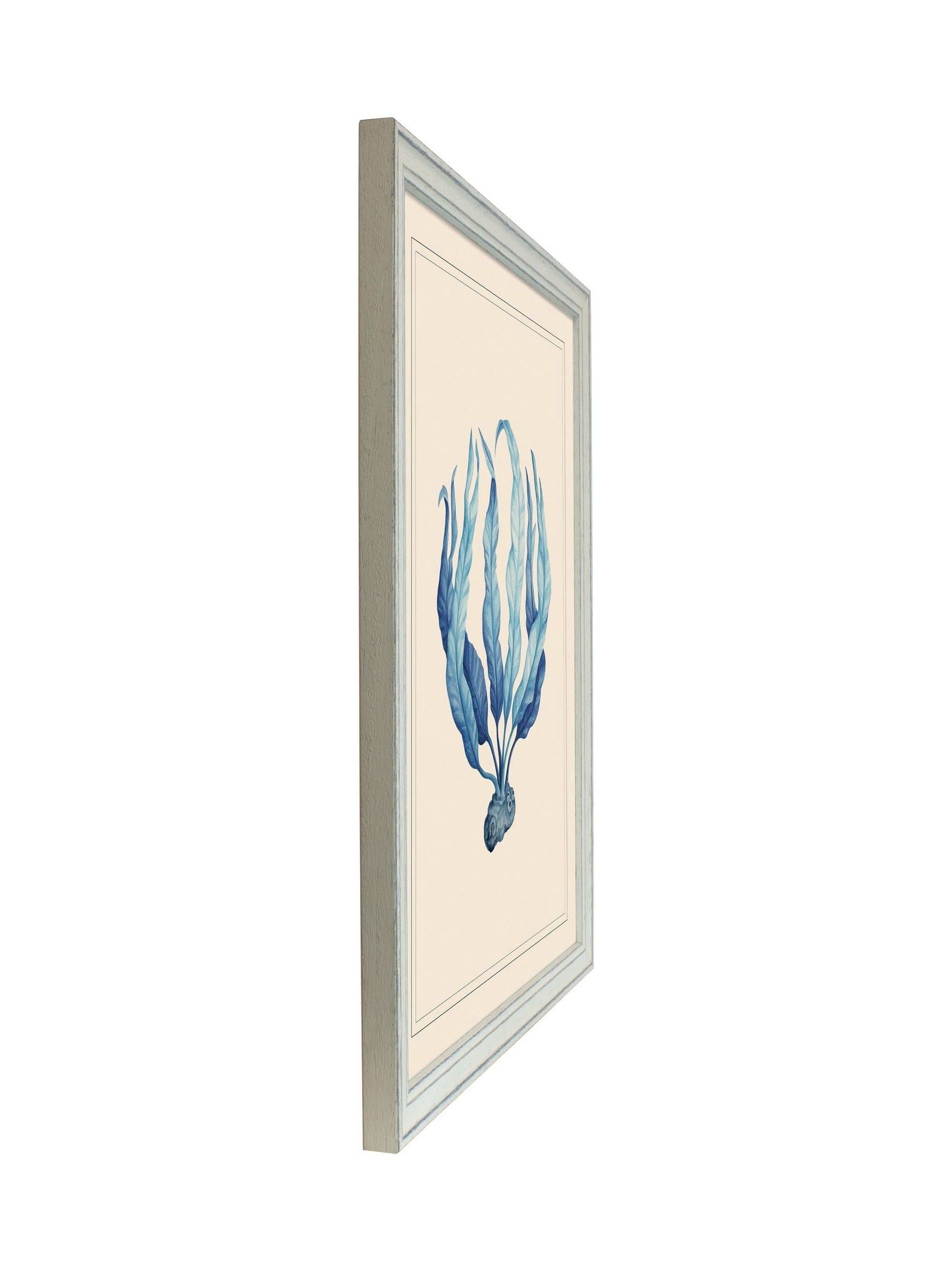 Brookpace Lascelles blue white seaweed print wall art (British brand)