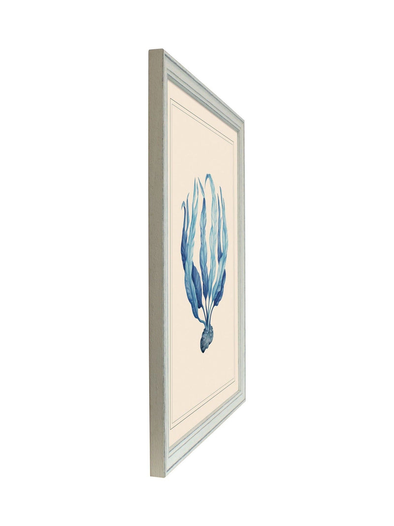 Brookpace Lascelles blue white seaweed print wall art (British brand)