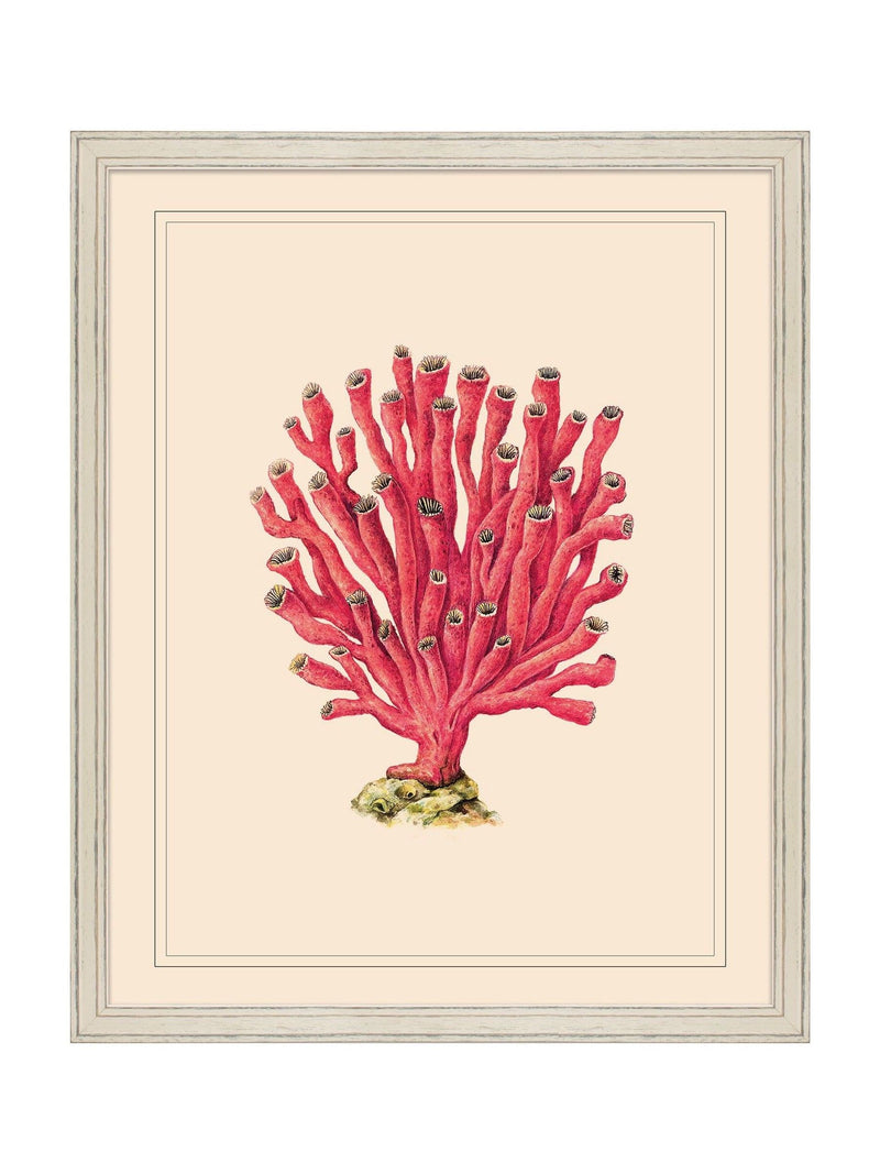 Brookpace Lascelles red white coral wall art 55.5x45.5cm - British product