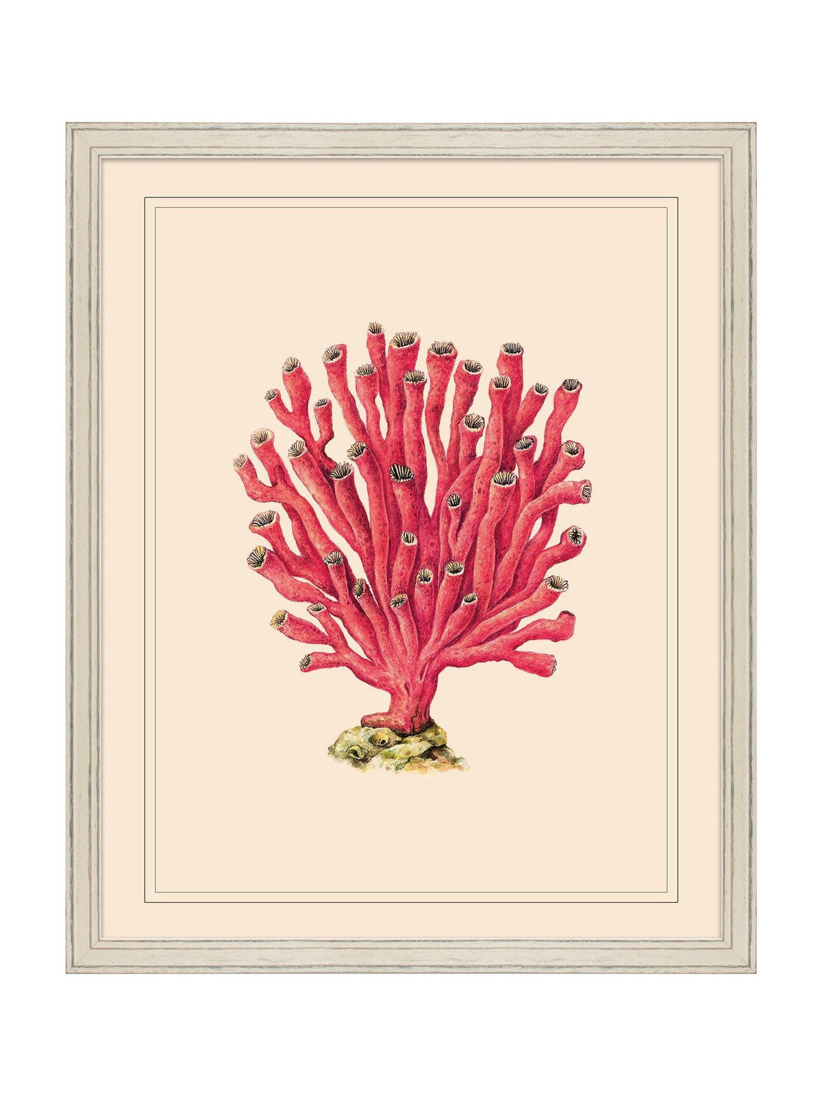 Brookpace Lascelles red white coral wall art 55.5x45.5cm - British product