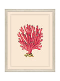 Brookpace Lascelles red white coral wall art 55.5x45.5cm - British product