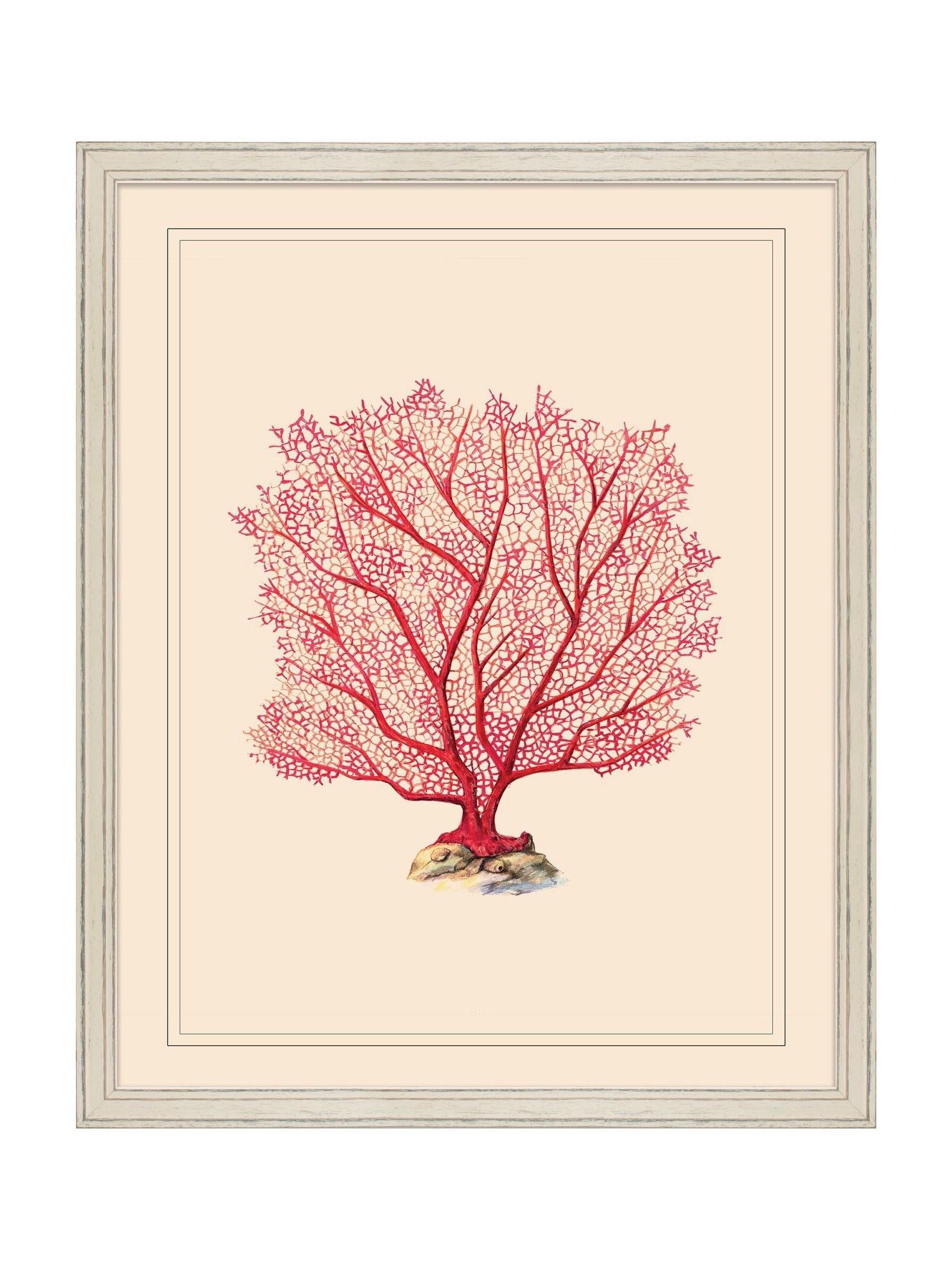 Brookpace Lascelles red coral wall art framed 55.5cm, UK version