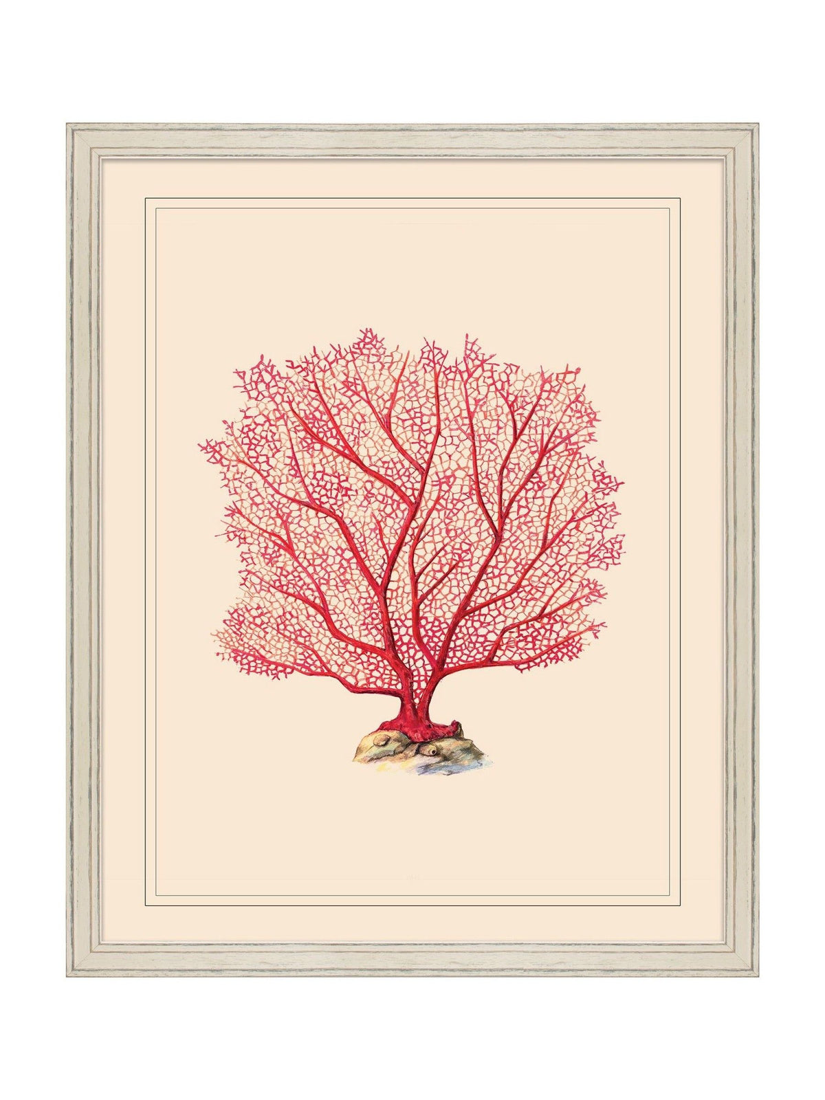 Brookpace Lascelles red coral wall art framed 55.5cm, UK version
