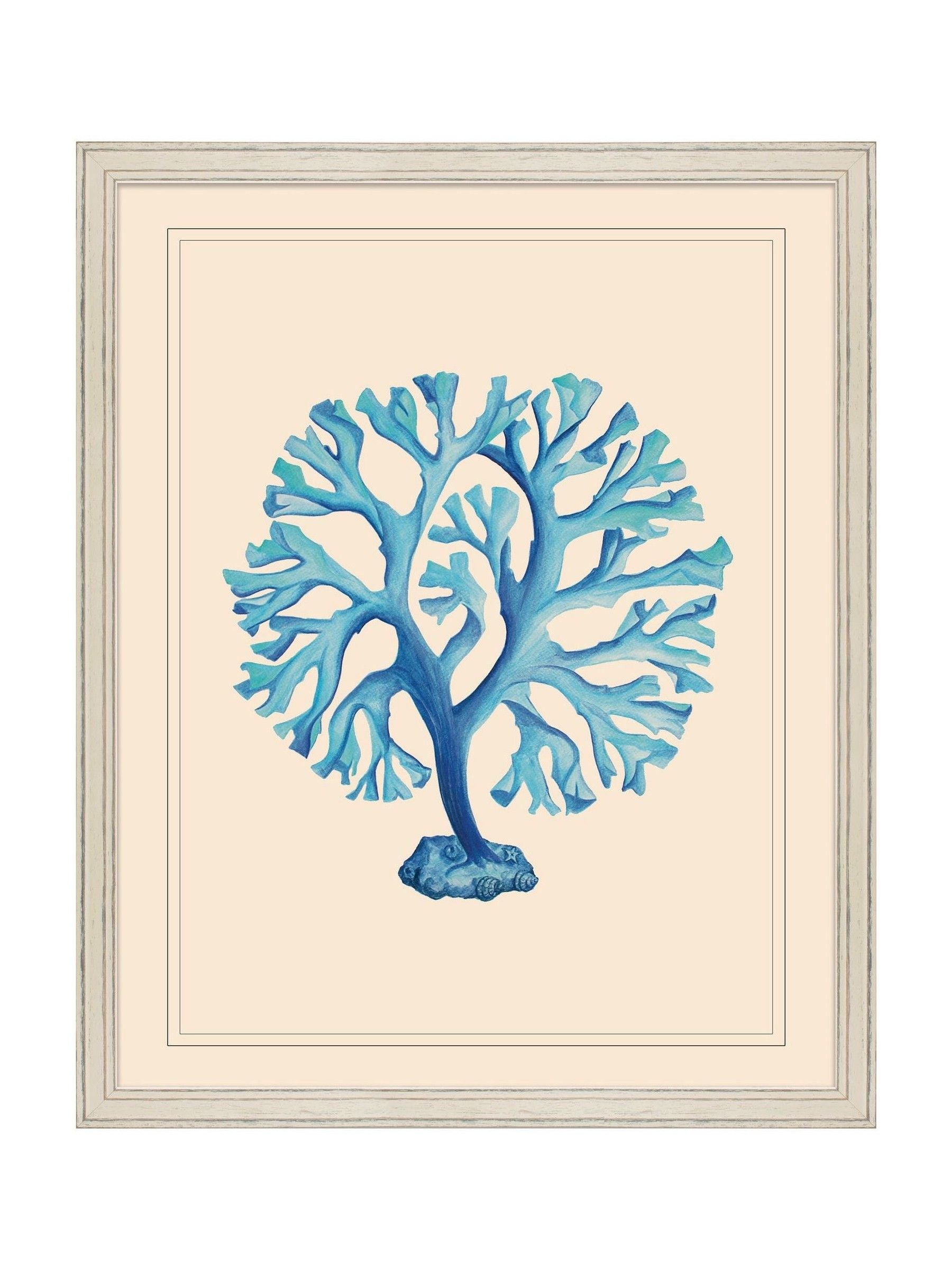 Brookpace Lascelles seaweed wall art 55x45cm - British product