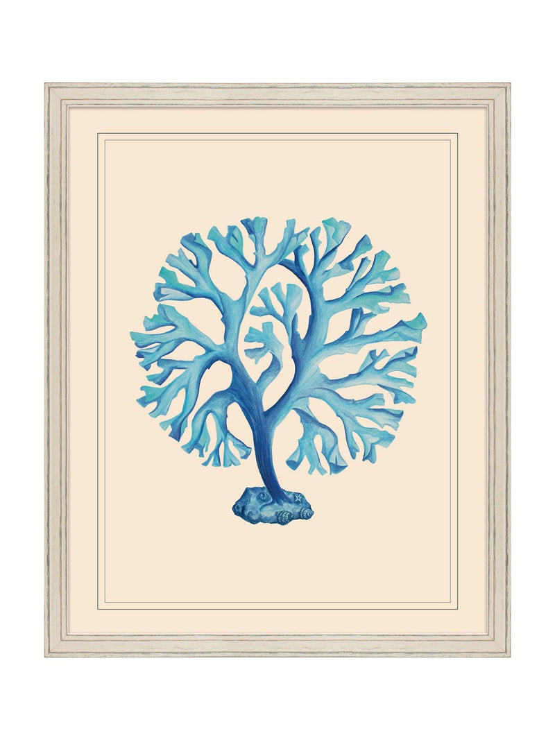 Brookpace Lascelles seaweed wall art 55x45cm - British product