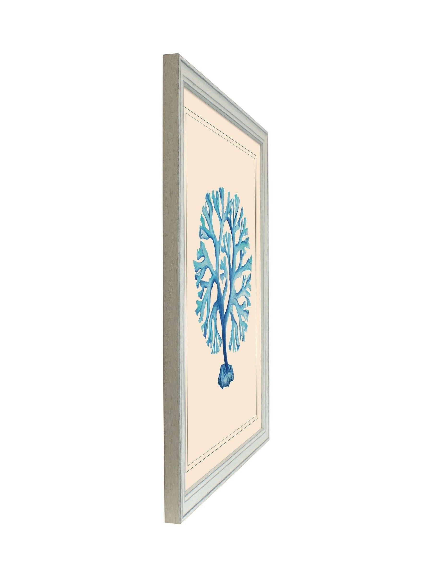 Brookpace Lascelles seaweed wall art 55x45cm - British product