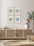 Brookpace Lascelles seaweed wall art in vintage frame, UK version