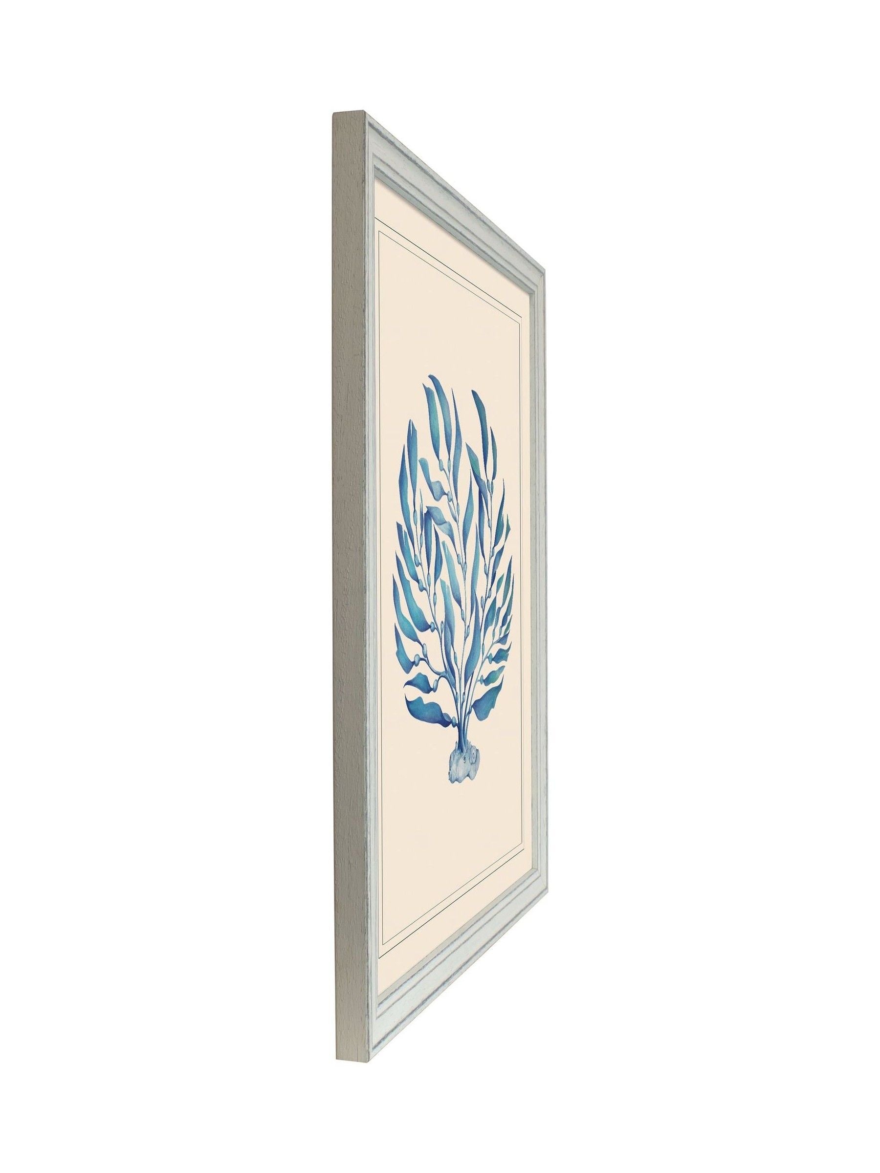 Brookpace Lascelles seaweed wall art in vintage frame, UK version