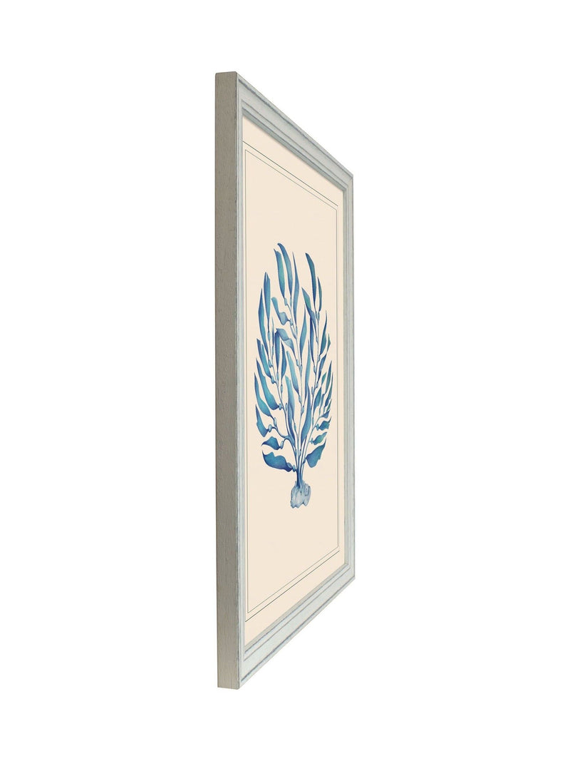 Brookpace Lascelles seaweed wall art in vintage frame, UK version