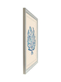 Brookpace Lascelles seaweed wall art in vintage frame, UK version