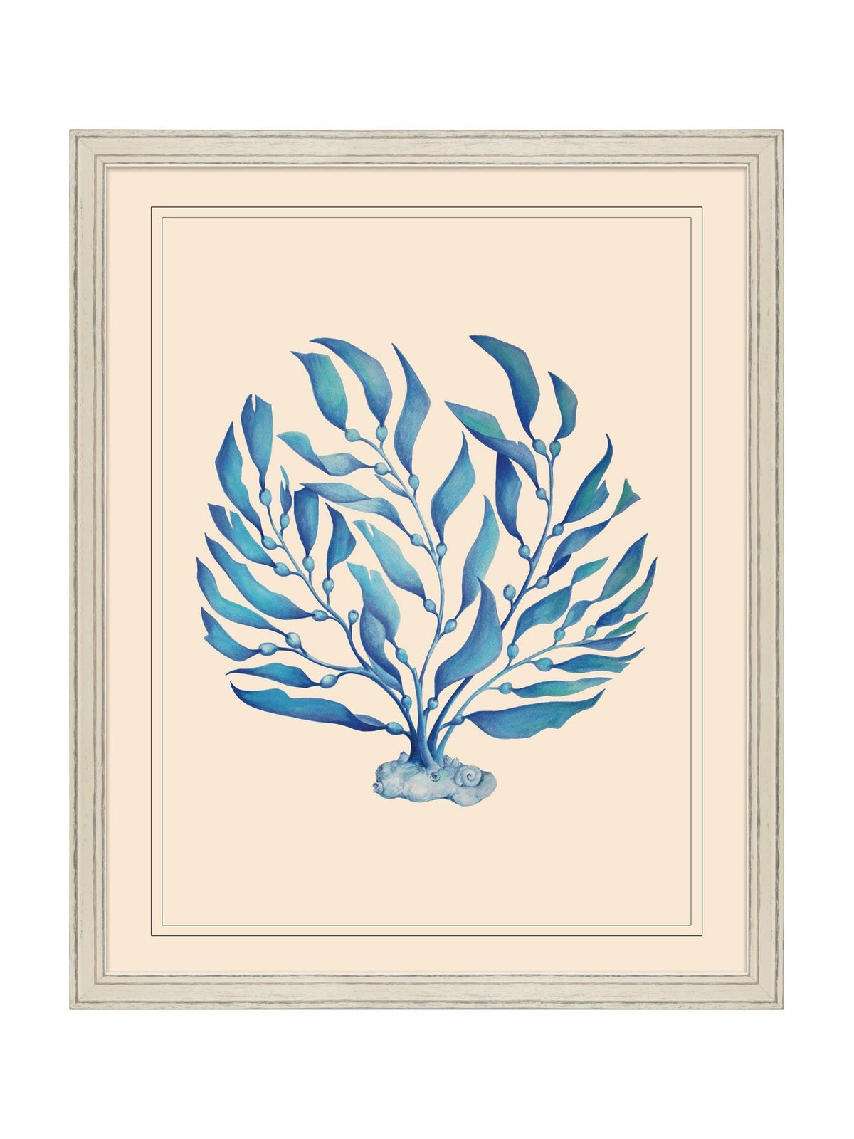 Brookpace Lascelles seaweed wall art in vintage frame, UK version