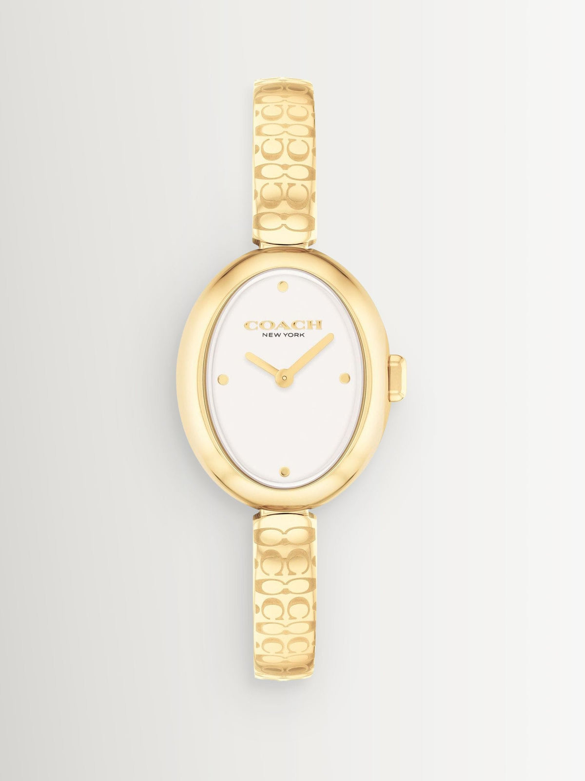 Coach Sammy oval IP bangle watch with white dial, 22mm (British brand)