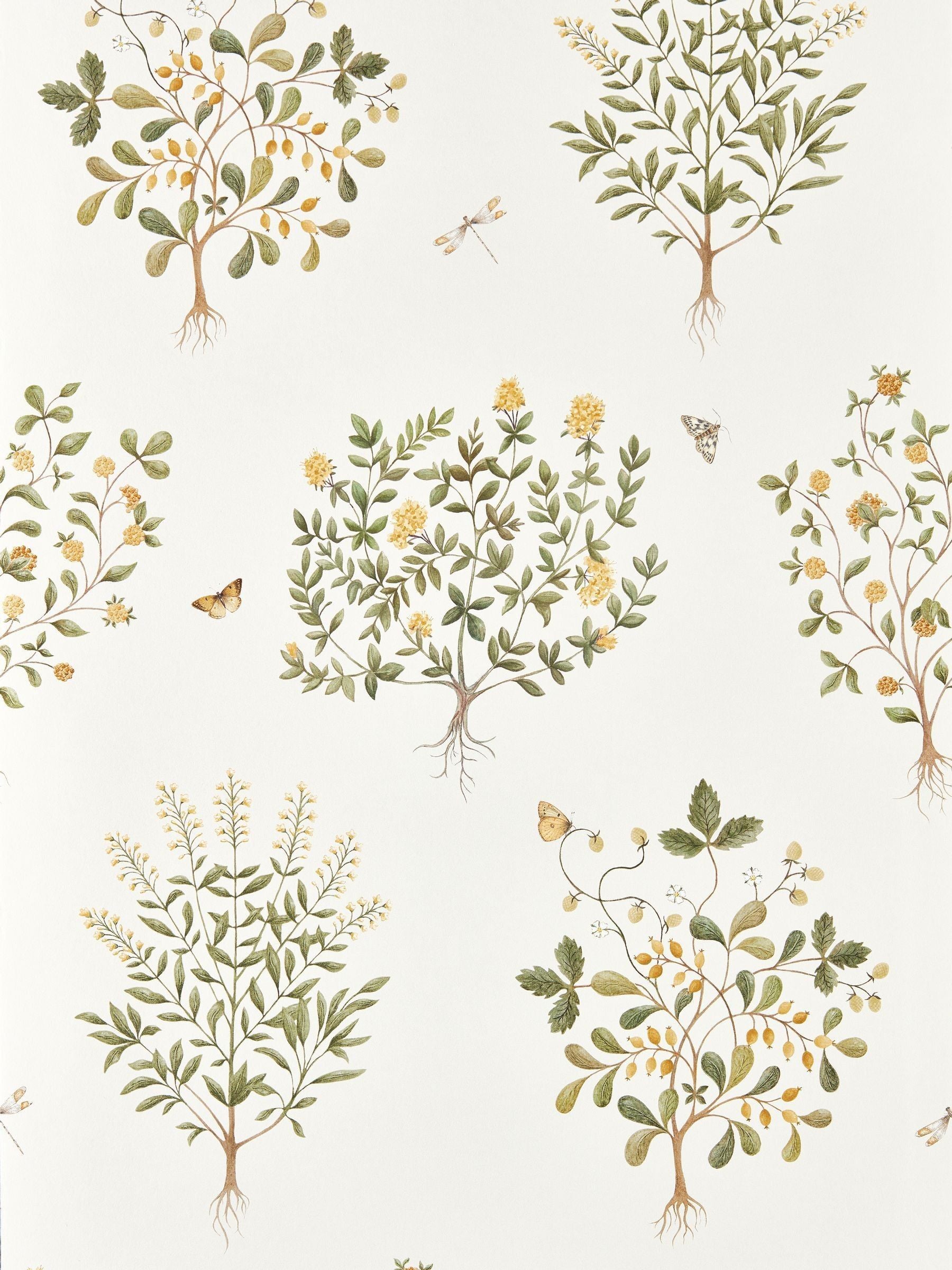 Sanderson Highgrove wallpaper Thyme Walk design 10M - British product
