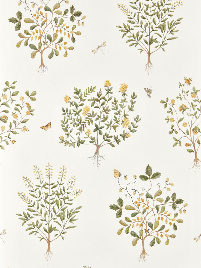 Sanderson Highgrove wallpaper Thyme Walk design 10M - British product