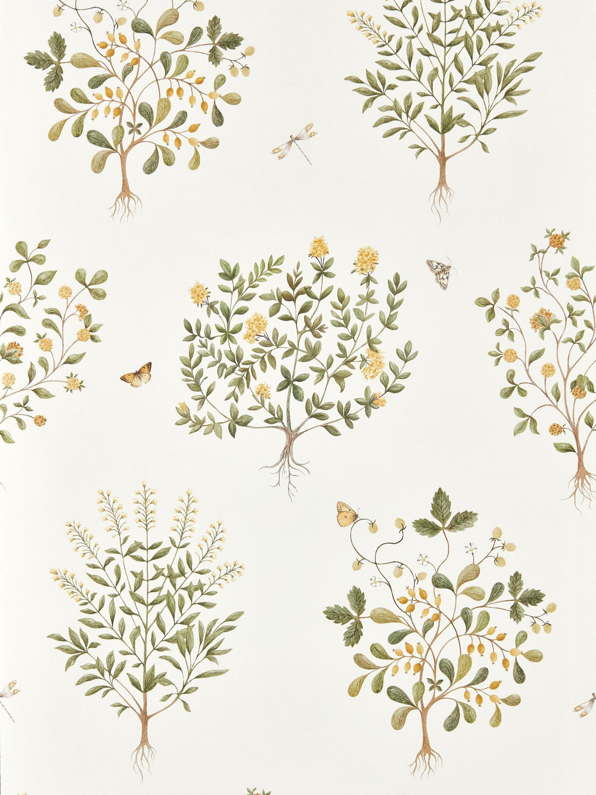 Sanderson Highgrove wallpaper Thyme Walk design 10M - British product