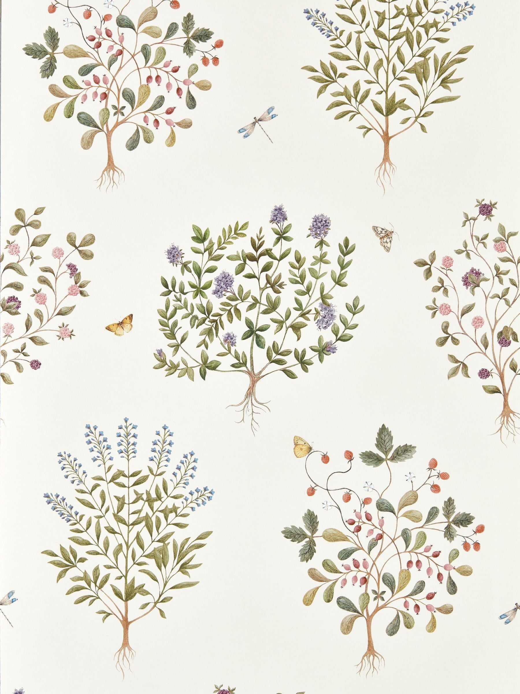 Sanderson Lichen Gooseberry Highgrove Wallpaper Thyme Walk
