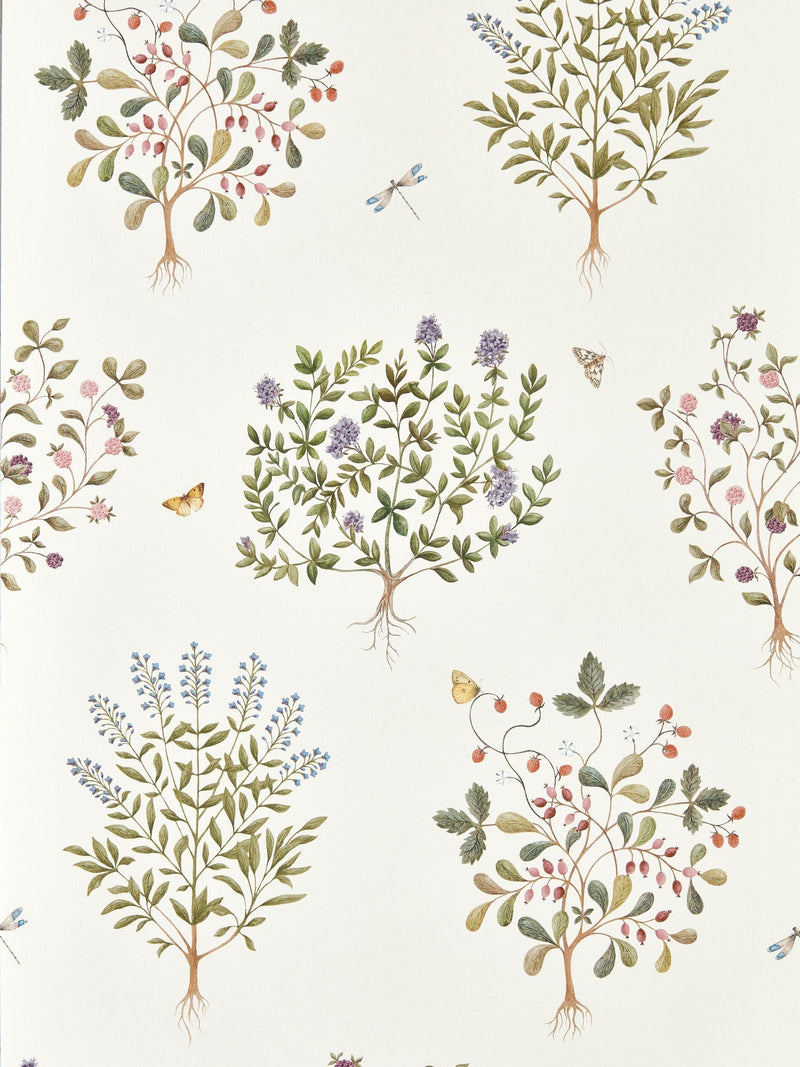 Sanderson Lichen Gooseberry Highgrove Wallpaper Thyme Walk