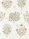 Sanderson Lichen Gooseberry Highgrove Wallpaper Thyme Walk