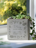 PMC personalised pumpkin concrete plant pot 10cm - British product