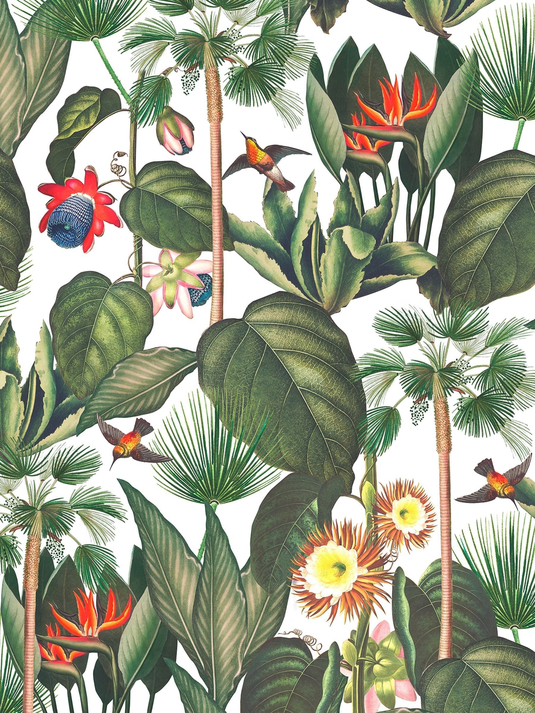 Graham & Brown Botanique Jungle mural sample A4 (British brand)