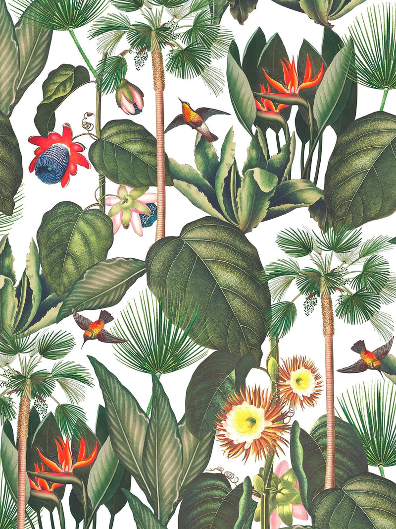 Graham & Brown Botanique Jungle mural sample A4 (British brand)