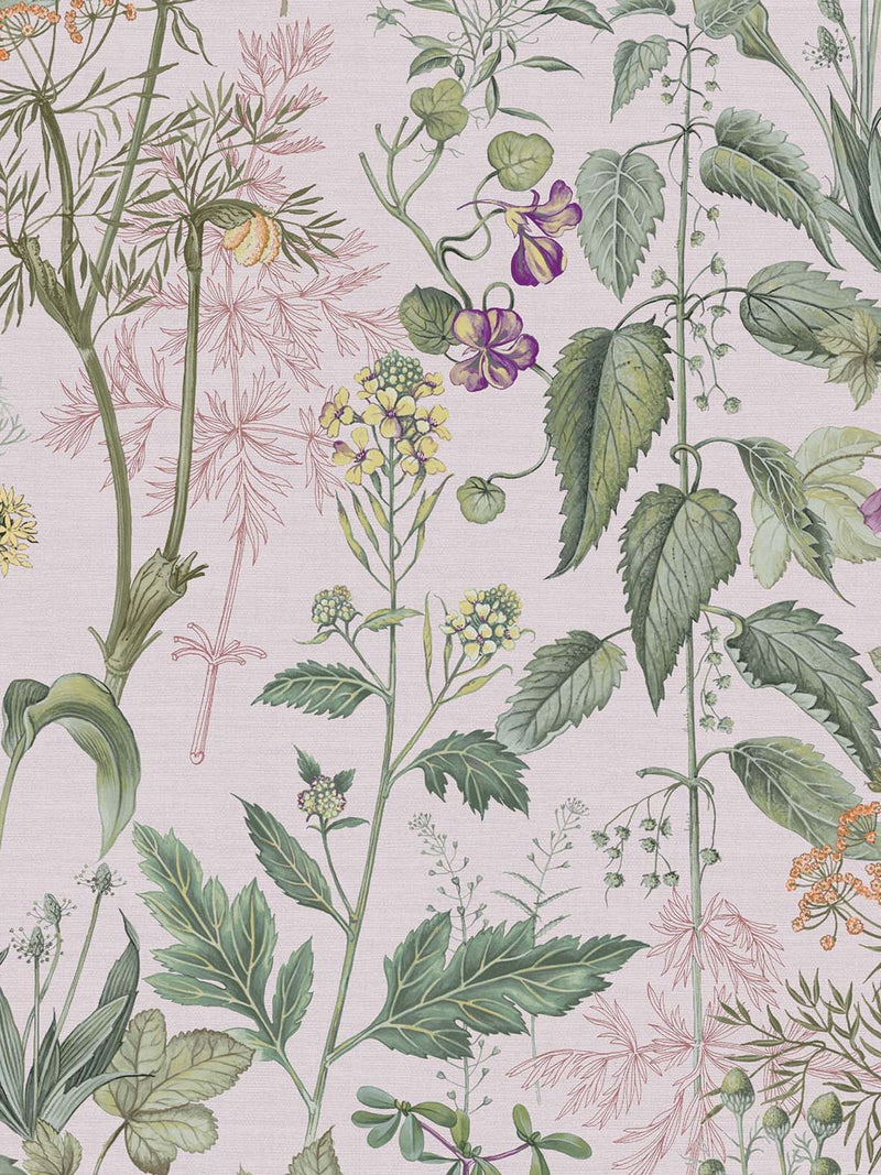 Graham & Brown Edulis A4 wallpaper sample with floral design (British brand)