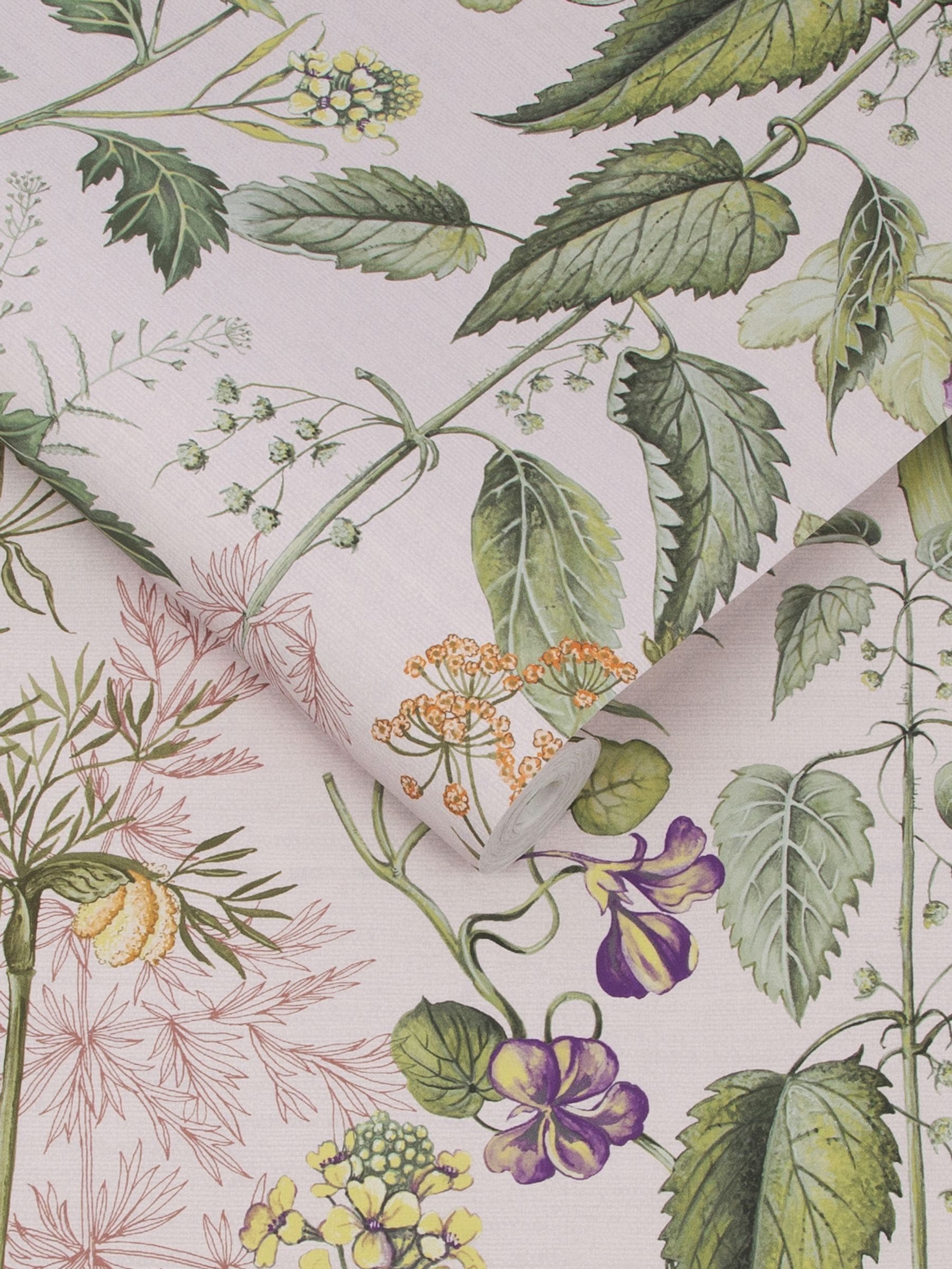 Graham & Brown Edulis A4 wallpaper sample with floral design (British brand)