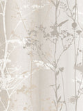 Graham & Brown wallpaper sample Sand Wild Flower A4 (British brand)