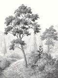 Graham & Brown Green Grizedale A4 mural sample, imported from the UK