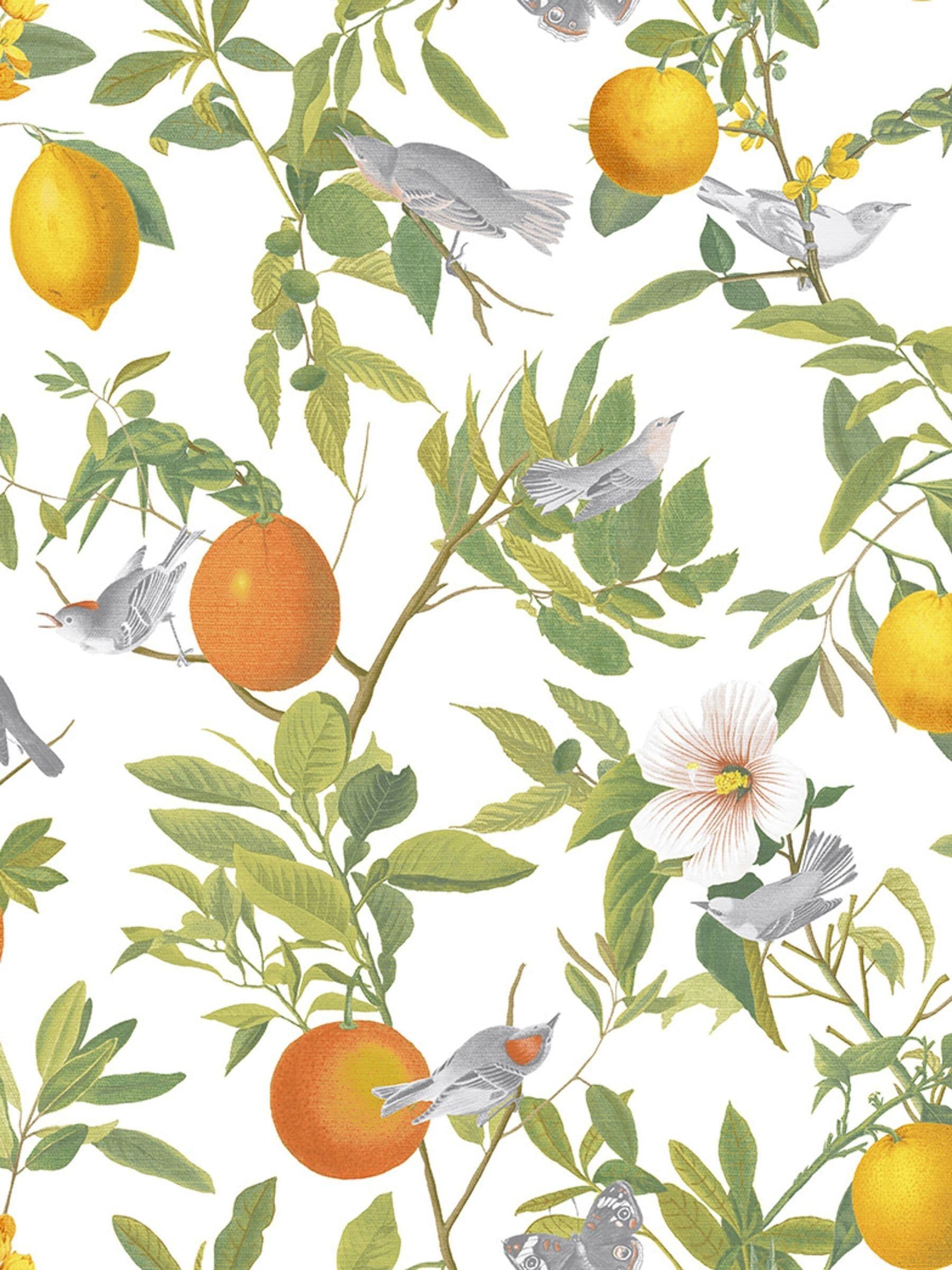 Graham & Brown White Amalfi wallpaper sample A4 (British brand)