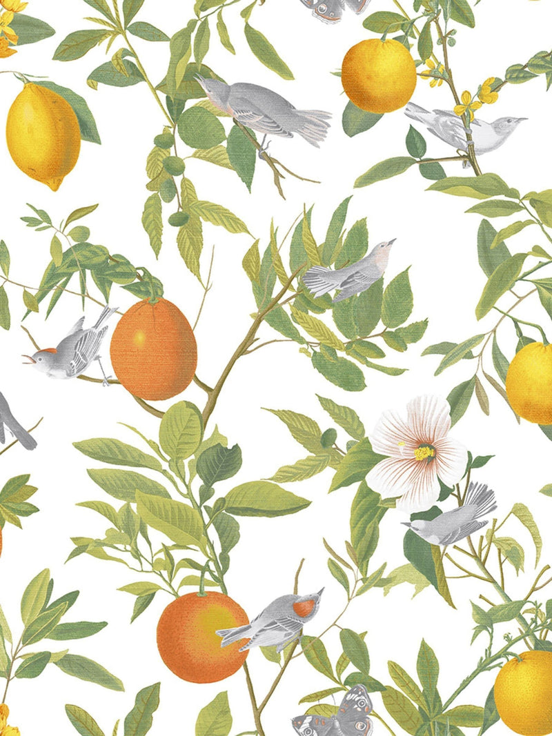 Graham & Brown White Amalfi wallpaper sample A4 (British brand)