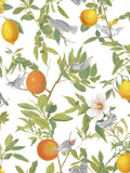 Graham & Brown White Amalfi wallpaper sample A4 (British brand)