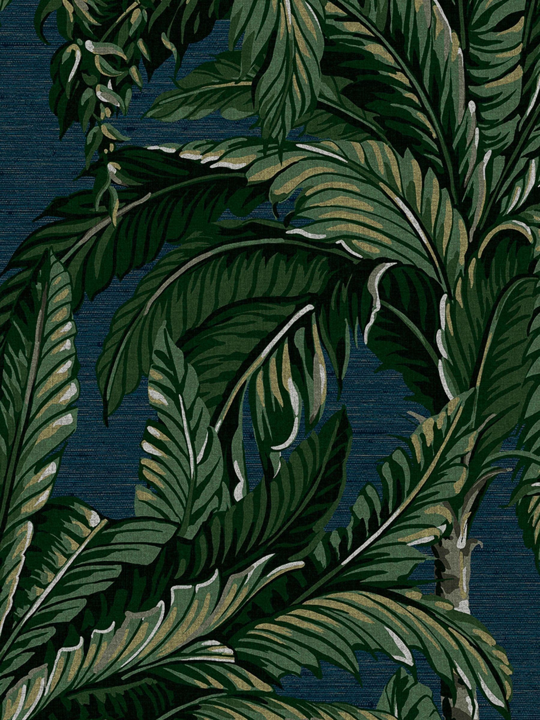 Graham & Brown Midnight Daintree Palm A4 Wallpaper Sample