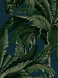 Graham & Brown Midnight Daintree Palm A4 Wallpaper Sample