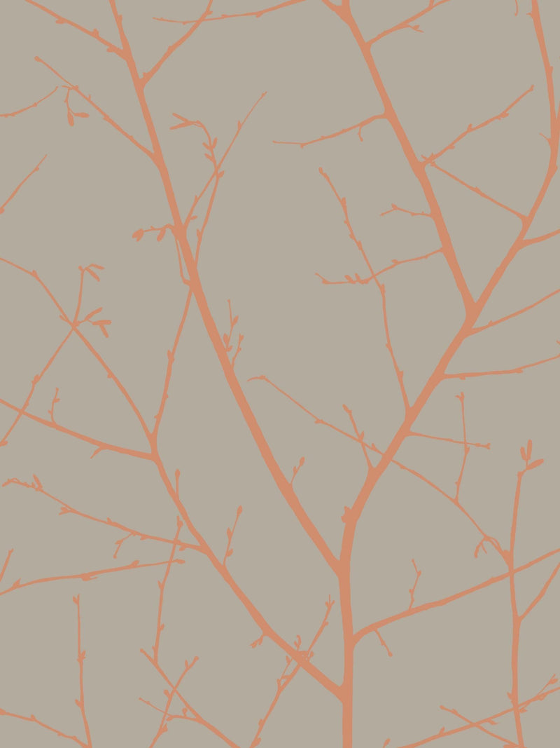 Graham & Brown Natural Boreas wallpaper 10m, imported from the UK