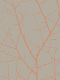 Graham & Brown Natural Boreas wallpaper 10m, imported from the UK