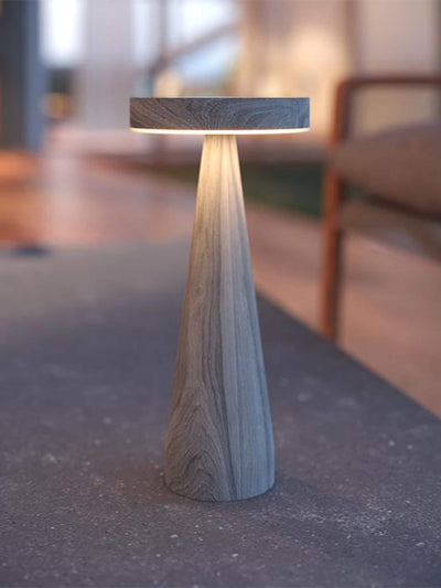 Next The Solar Centre Warm White Seattle USB Solar Table Light- Buy online at McGrocer