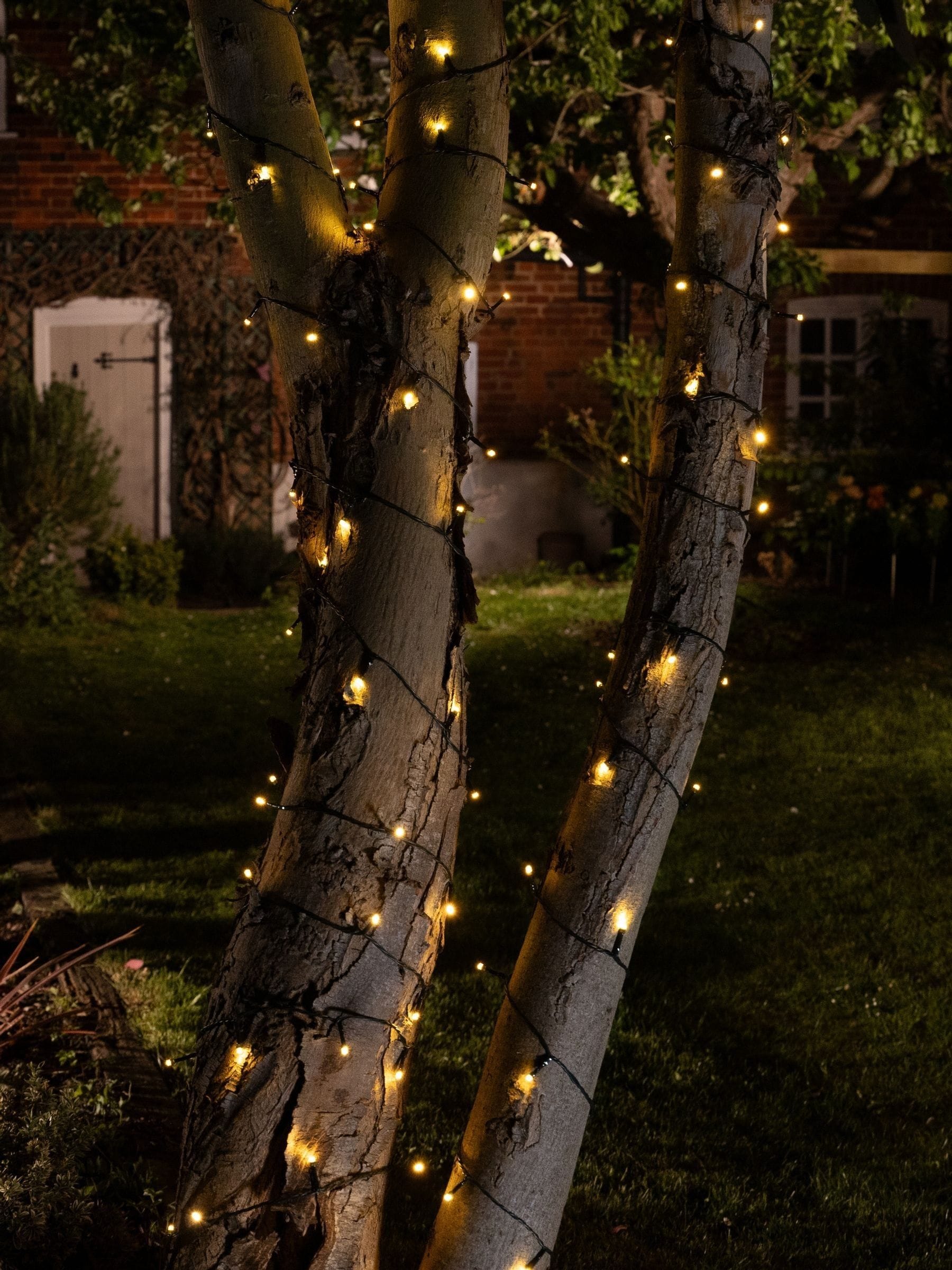 The Solar Centre dual fairy lights 200 LED - British product