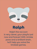 JoJo Maman Bébé Ralph Raccoon plushie small 20 cm, UK version