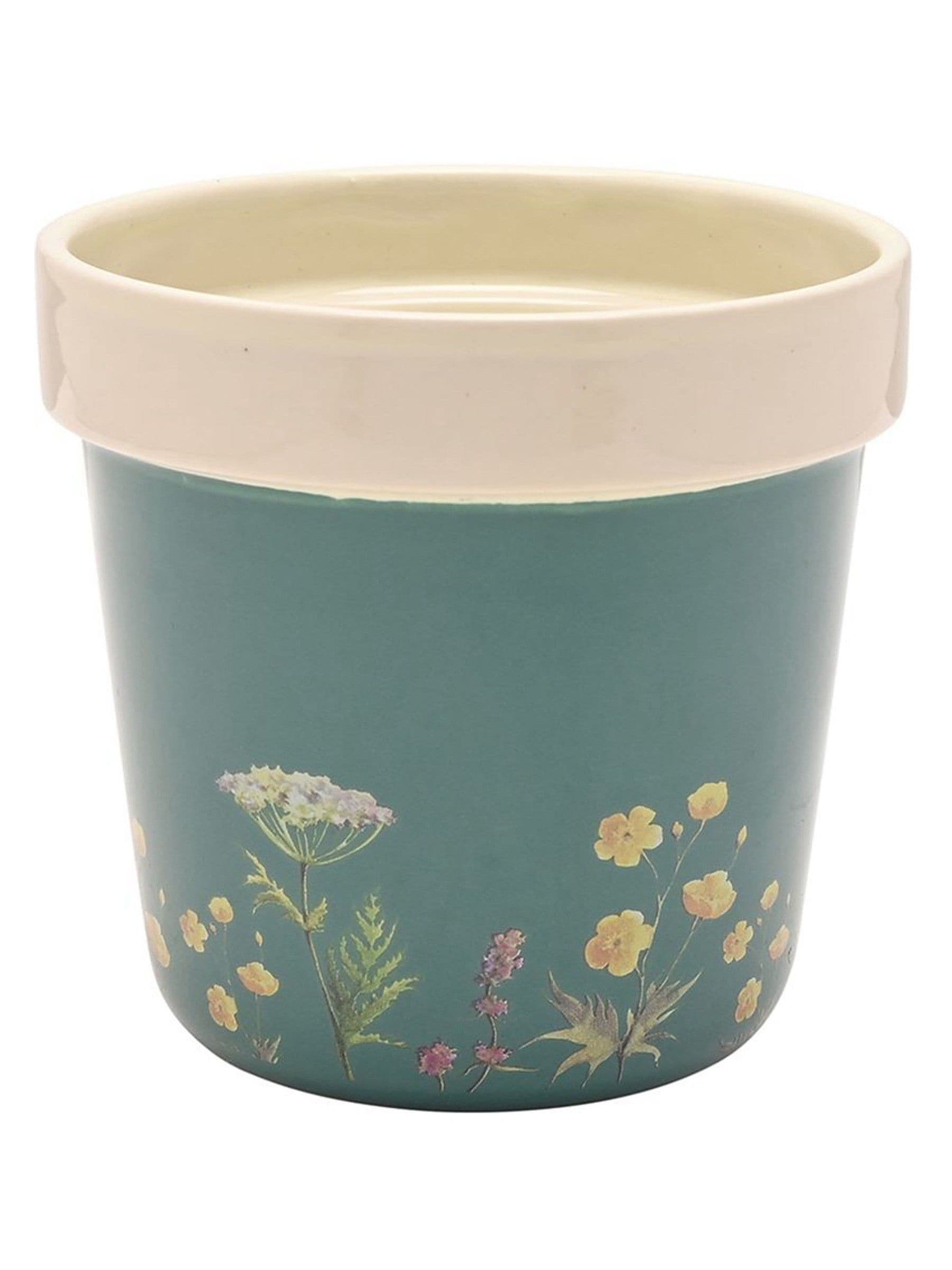 Country Living planters set Highland cow wildflower 12cm (British brand)