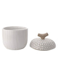Country Living white large acorn ceramic storage jar - British product