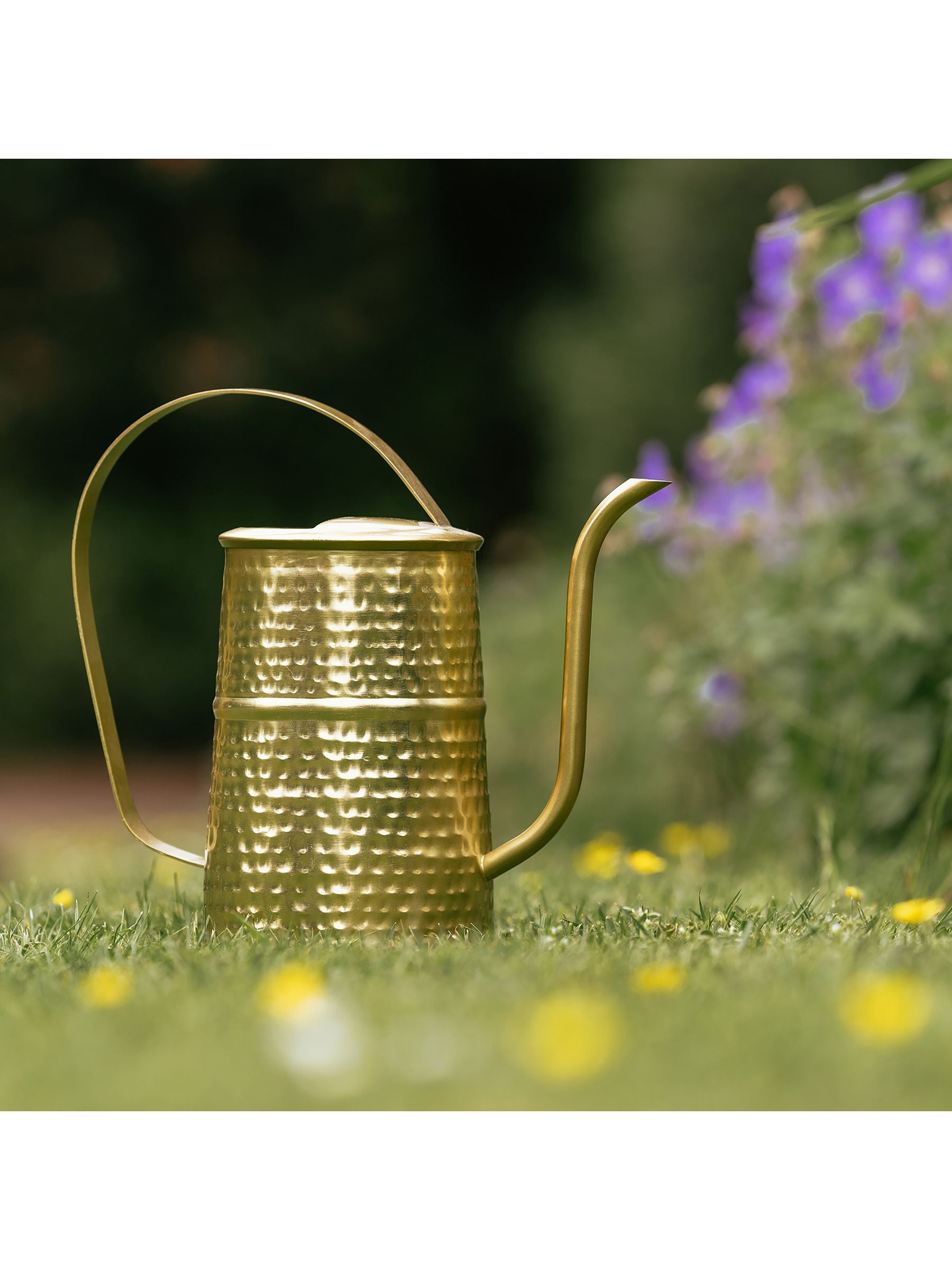 Country Living gold watering can 29.5cm - British product
