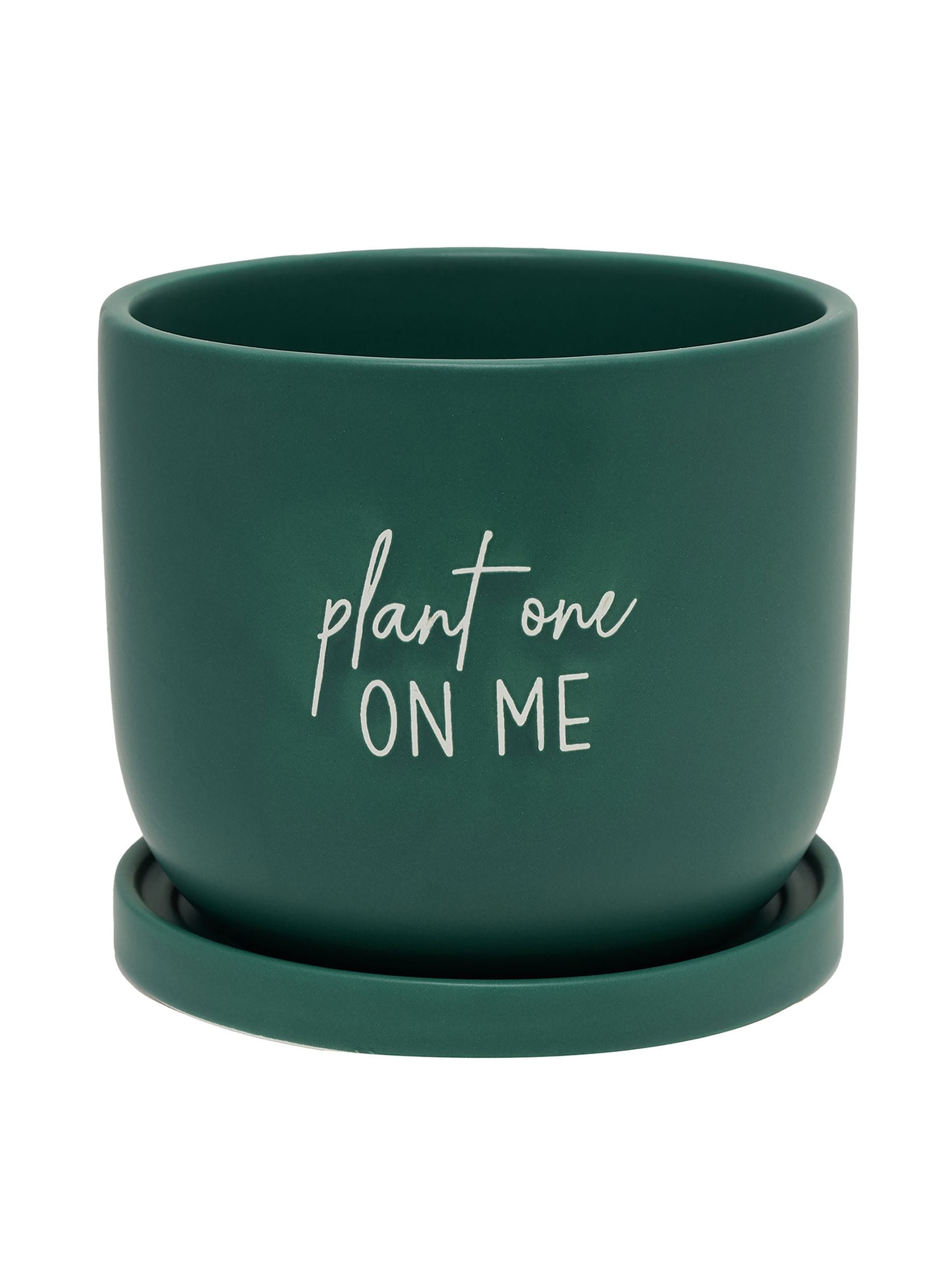 Country Living Green One On Me ceramic plant pot, imported from the UK