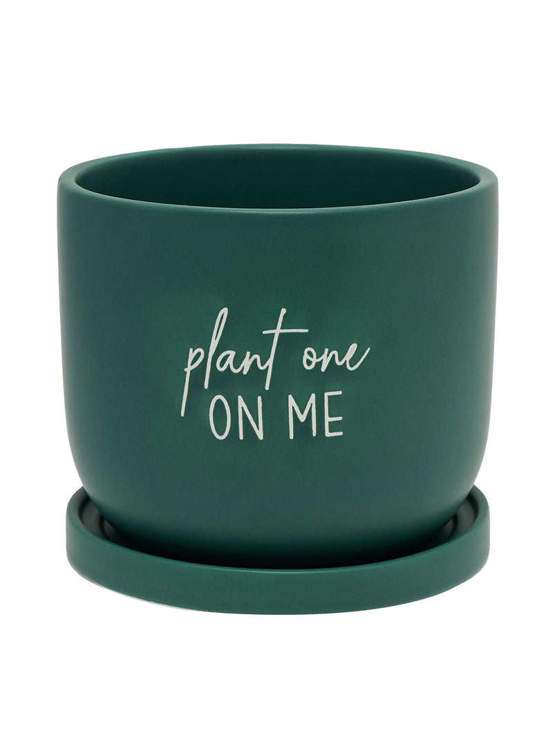 Country Living Green One On Me ceramic plant pot, imported from the UK