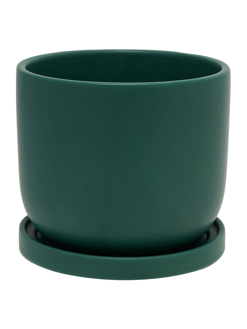 Country Living Green One On Me ceramic plant pot, imported from the UK