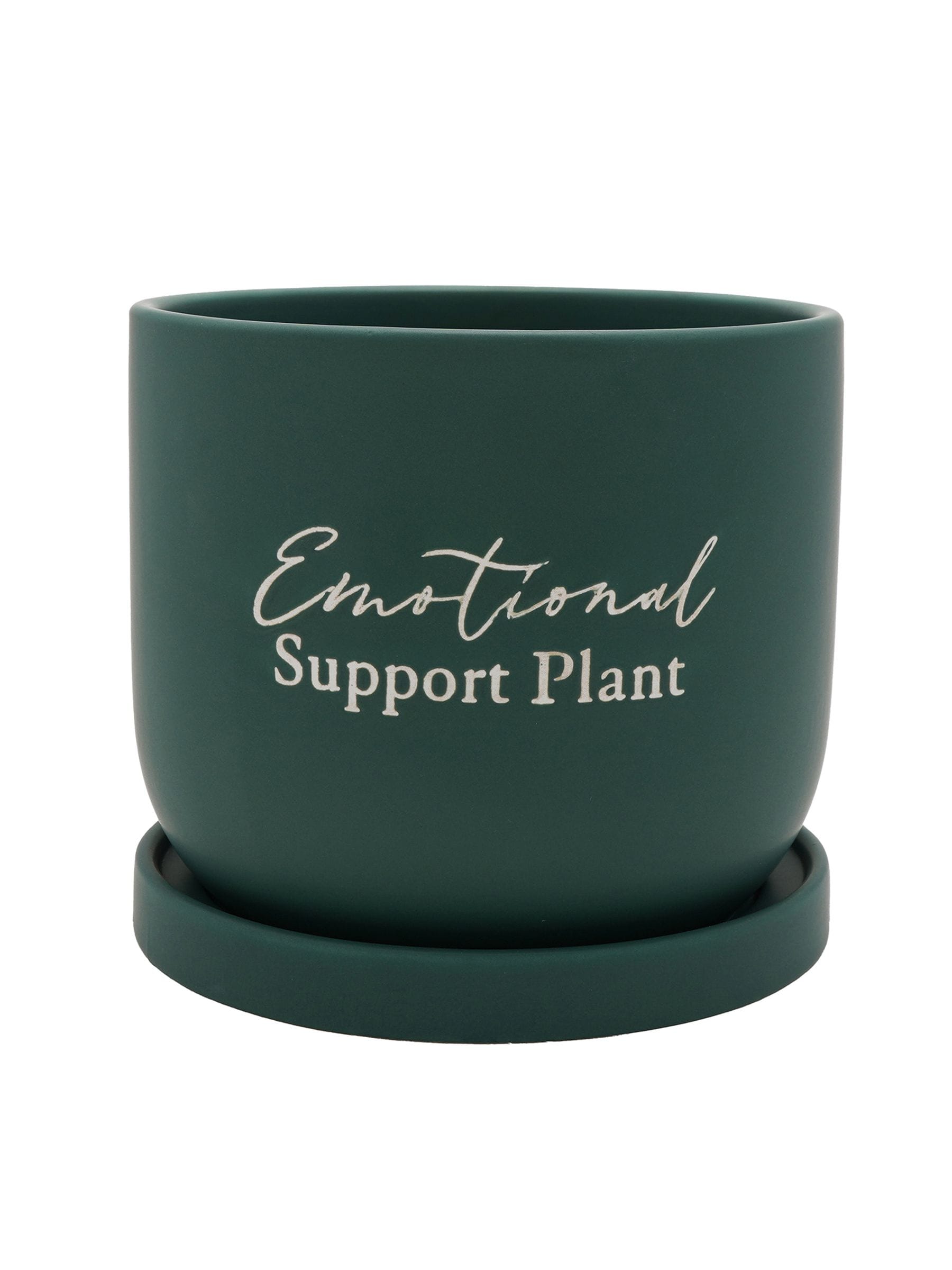 Country Living green ceramic plant pot 16cm (British brand)