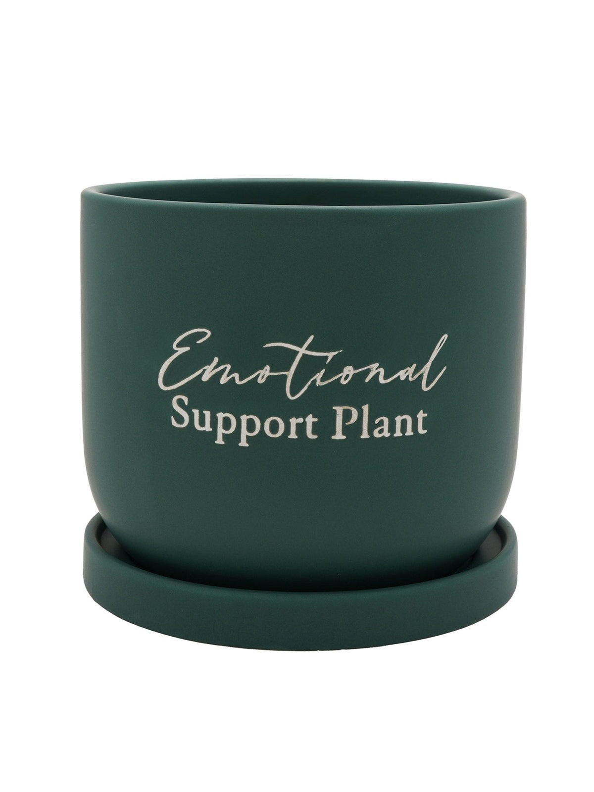 Country Living green ceramic plant pot 16cm (British brand)