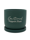 Country Living green ceramic plant pot 16cm (British brand)